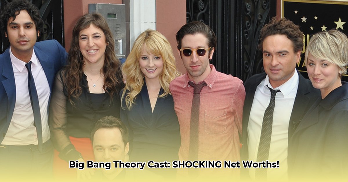 big-bang-theory-net-worth
